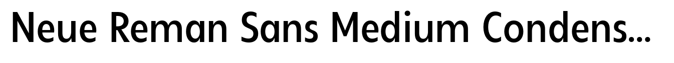 Neue Reman Sans Medium Condensed image